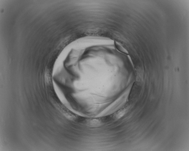 X0000071820287200607211744