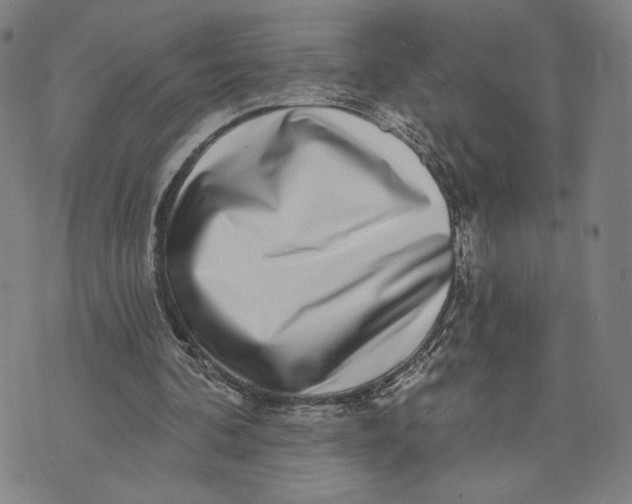 X0000071820292200607211744