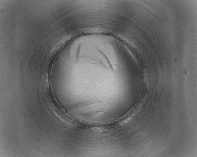 X0000071820302200607211743