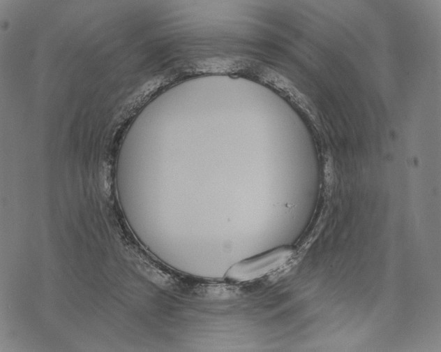 X0000071820305200607211743