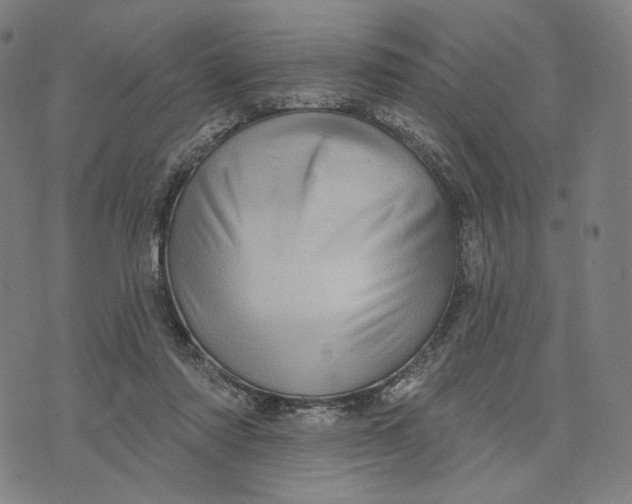 X0000071820310200607211743
