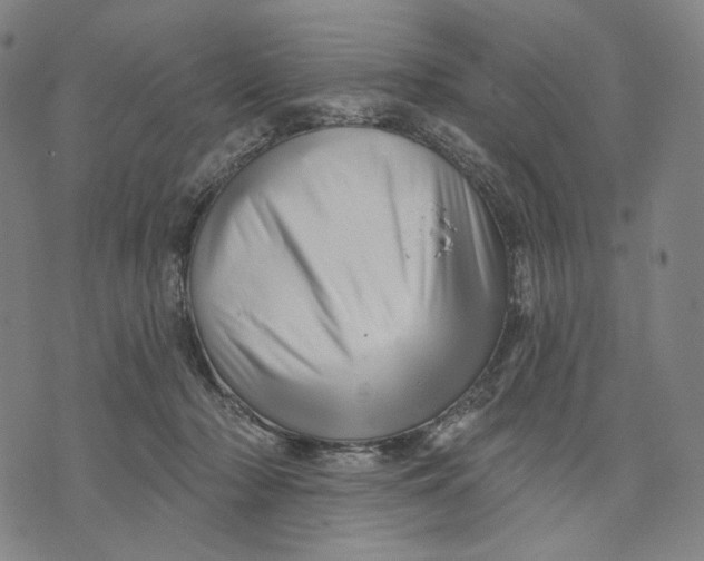 X0000071820318200607211743
