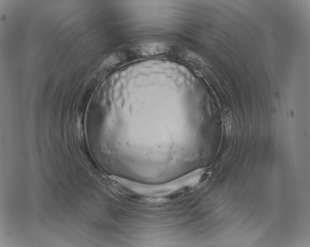 X0000071820327200607211743