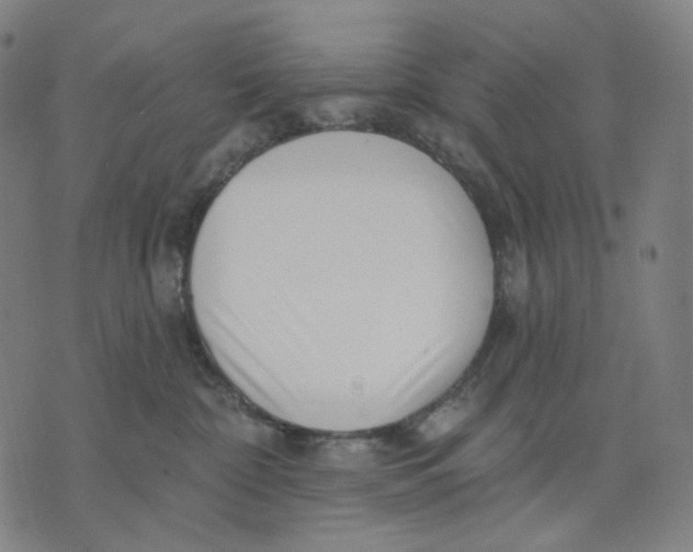 X0000071820332200607211743