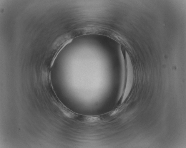 X0000071820333200607211743