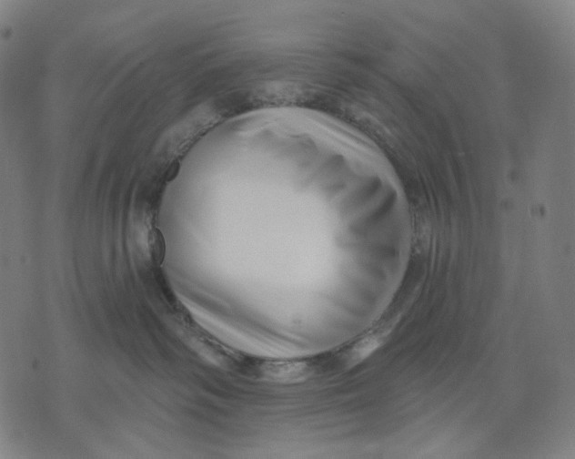X0000071820334200607211743