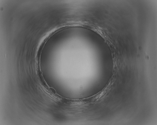X0000071820342200607211742