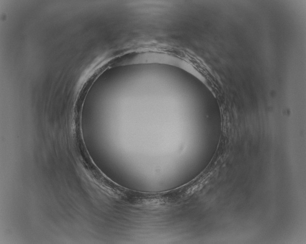 X0000071820344200607211742