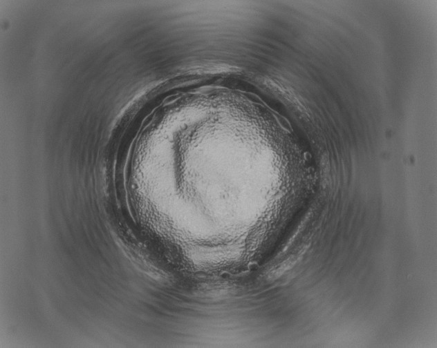 X0000071820351200607211742