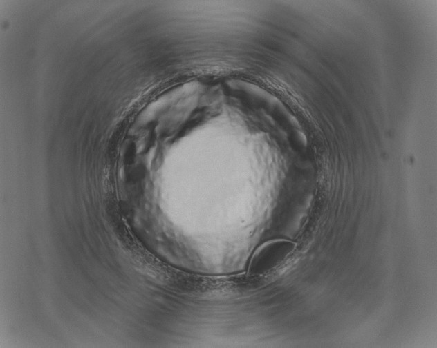 X0000071820355200607211742