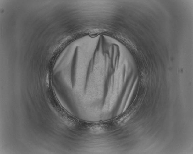 X0000071820358200607211742