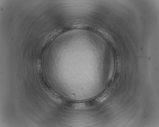 X0000071820361200607211742