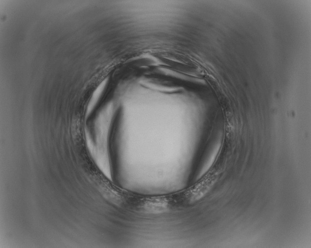 X0000071820369200607211743