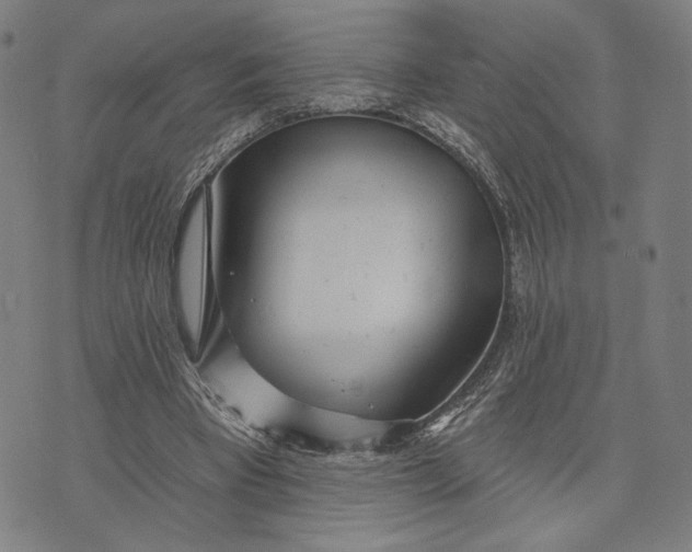 X0000071820393200607211742