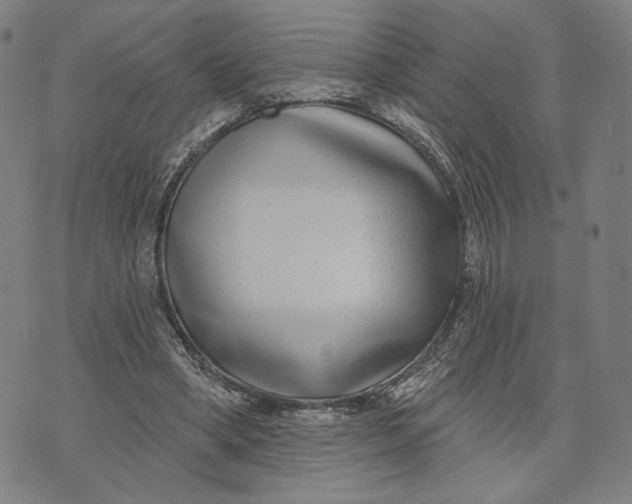 X0000071820394200607211742