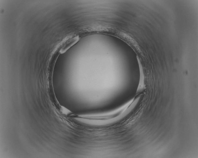 X0000071820395200607211742