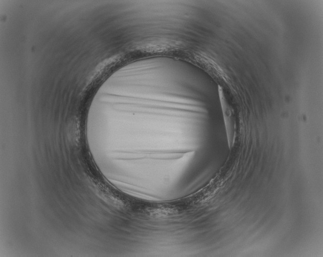 X0000071820400200607211742