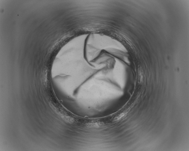 X0000071820404200607211742
