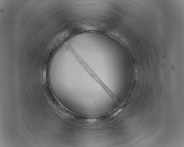 X0000071820406200607211742