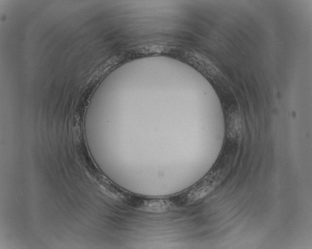 X0000071820414200607211742