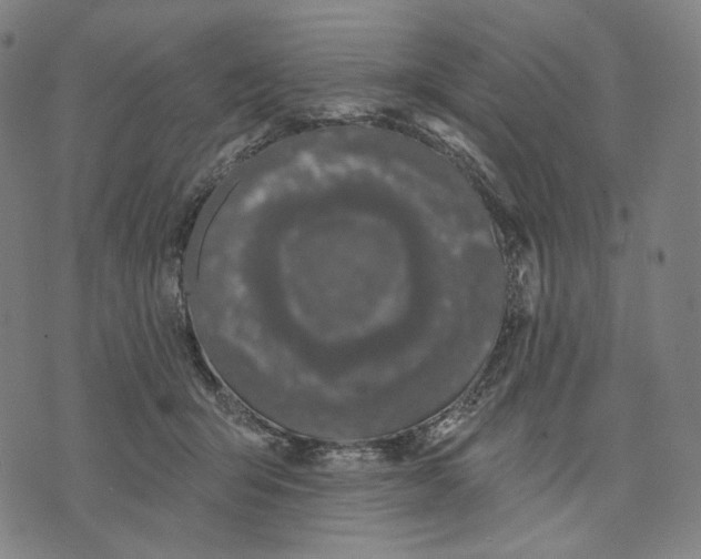X0000071820415200607211742