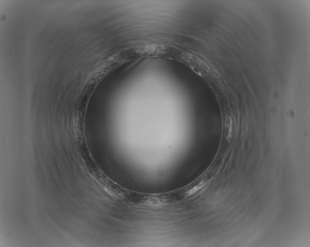 X0000071820416200607211742