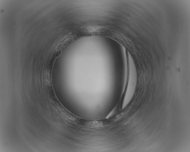 X0000071820421200607211741