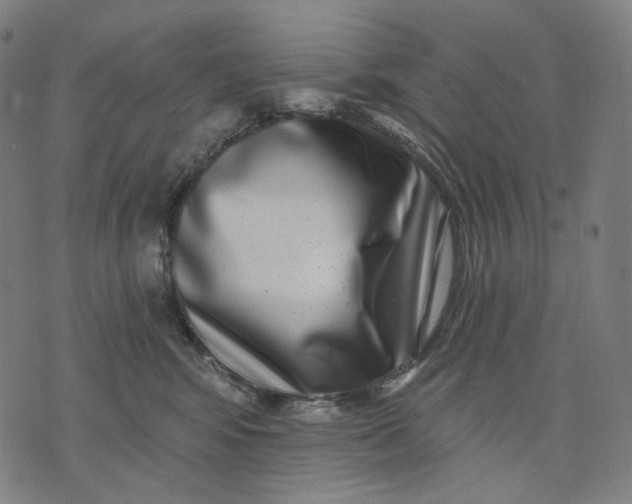 X0000071820424200607211741