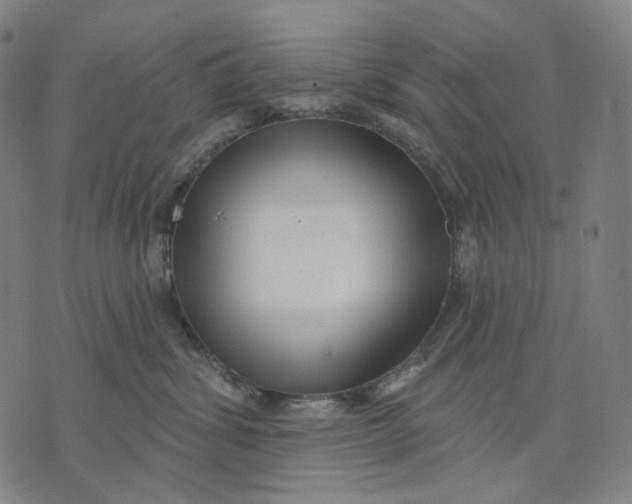 X0000071820428200607211741