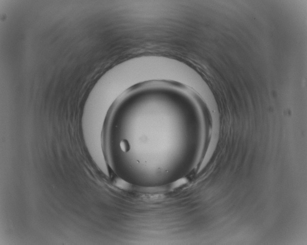 X0000071820429200607211741