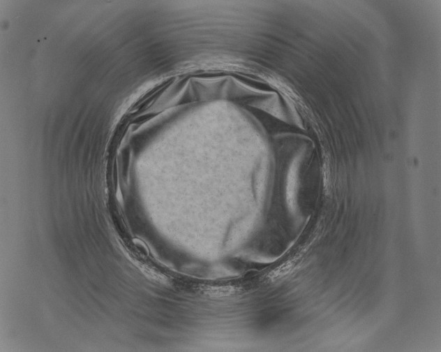 X0000071820438200607211741
