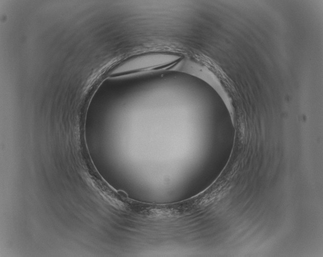 X0000071820442200607211741