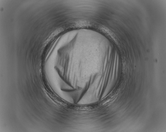 X0000071820443200607211741