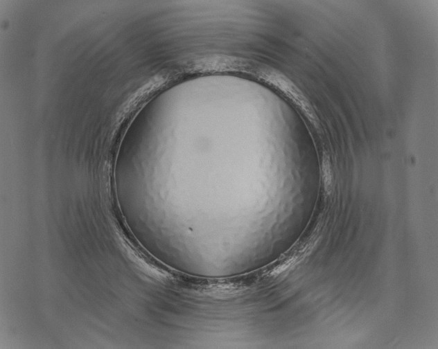 X0000071820445200607211741