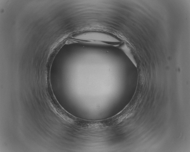 X0000071820446200607211741