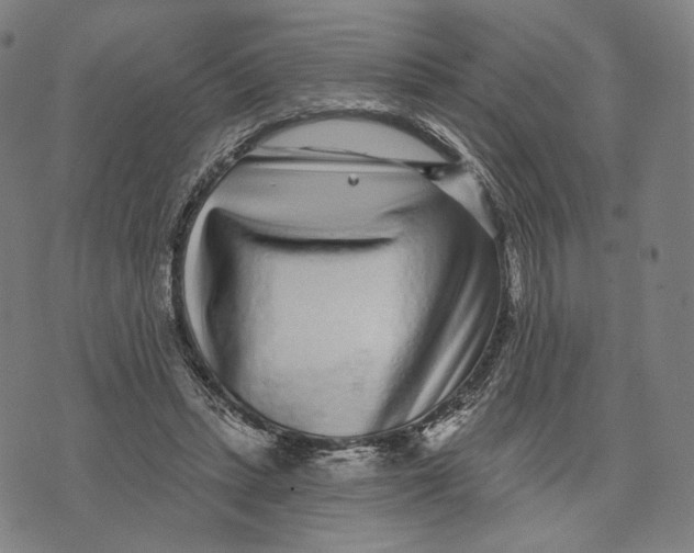 X0000071820447200607211741