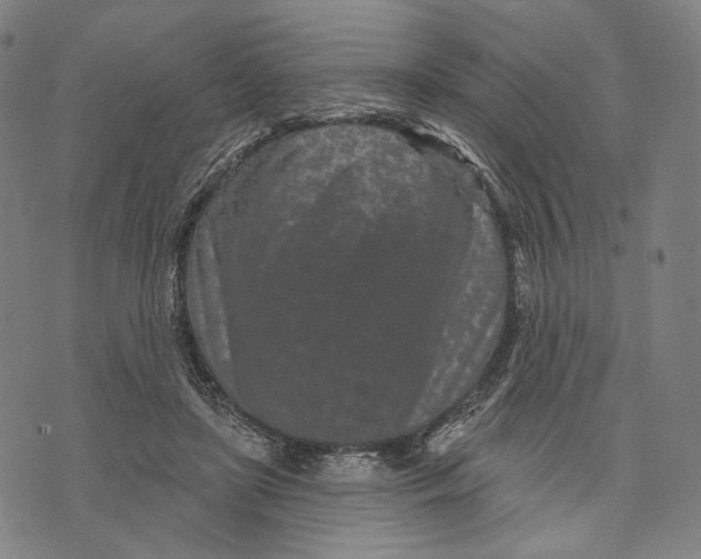 X0000071820451200607211741