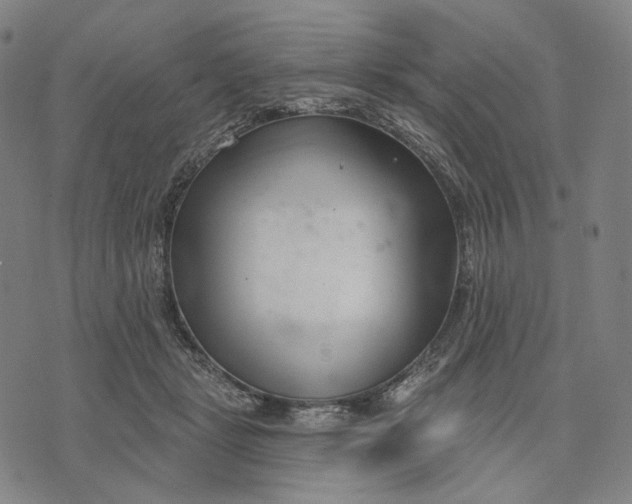 X0000071820461200607211741