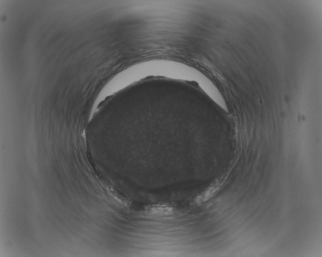 X0000071820471200607211741