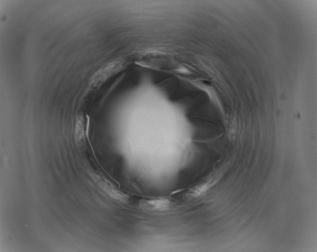 X0000071820478200607211741