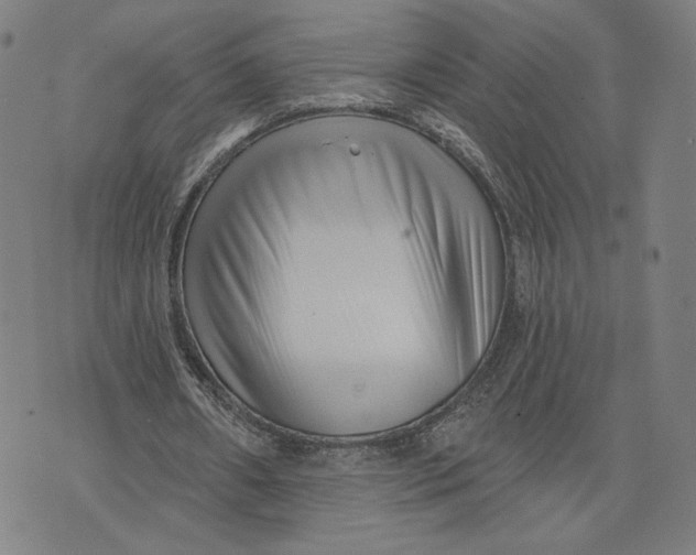 X0000071820482200607211740