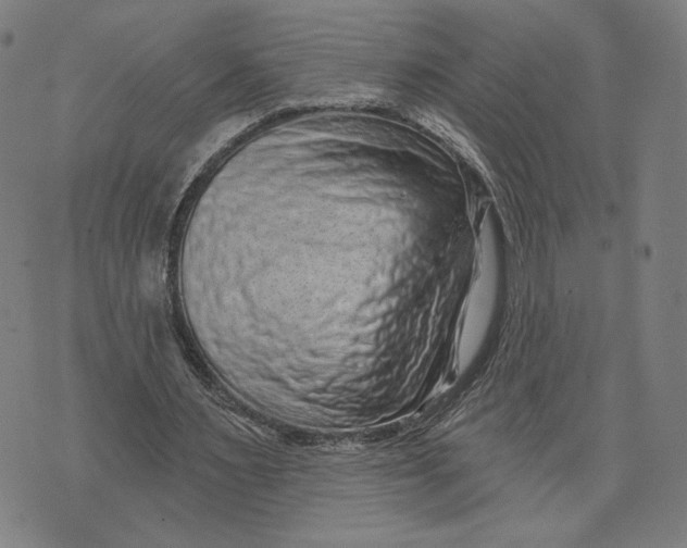 X0000071820483200607211740