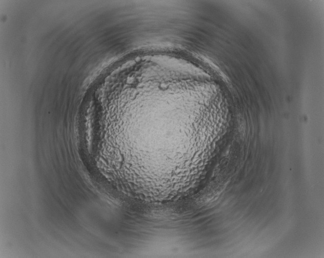 X0000071820487200607211740