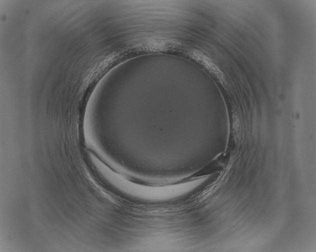X0000071820493200607211740