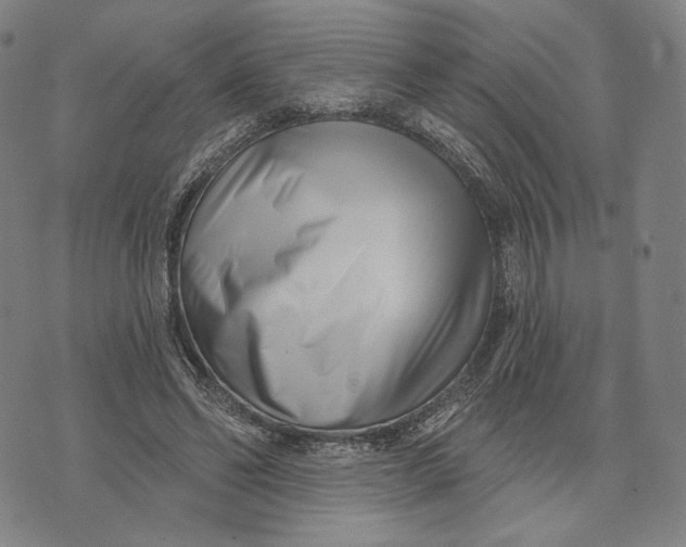 X0000071820494200607211740