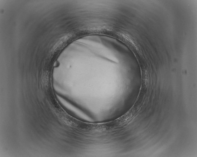 X0000071820495200607211740