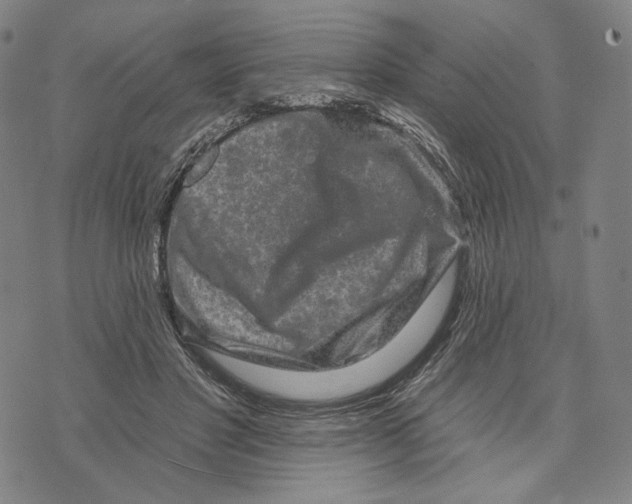 X0000071820501200607211740