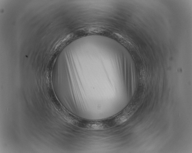 X0000071820506200607211740