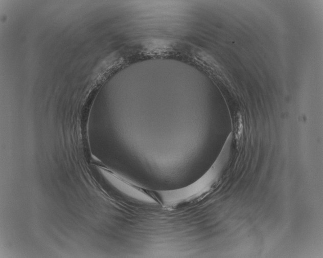 X0000071820508200607211740