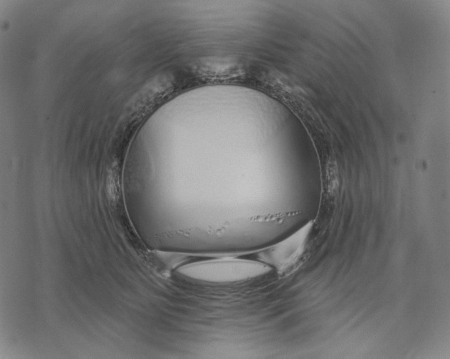 X0000071820515200607211740